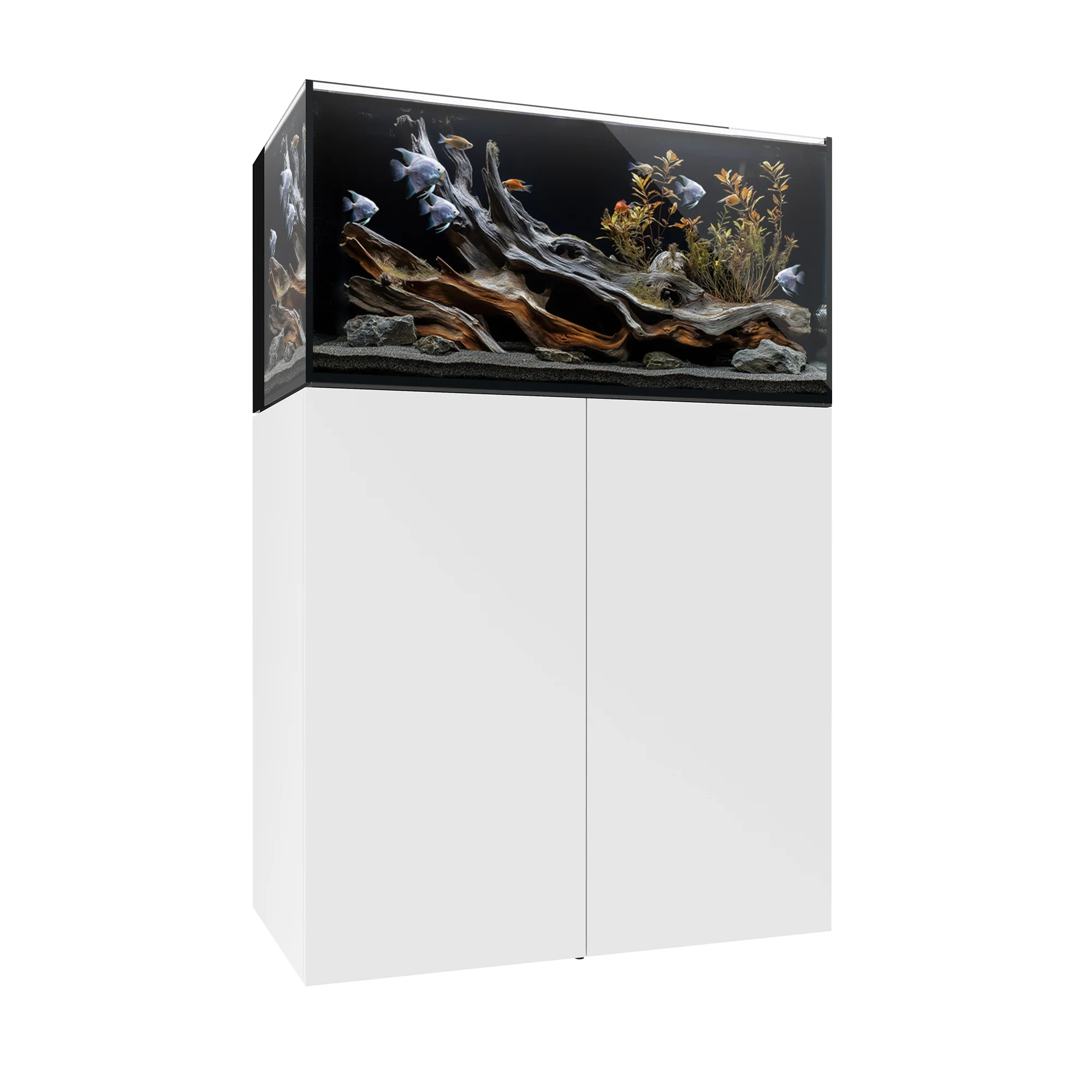 Freshwater Aquariums